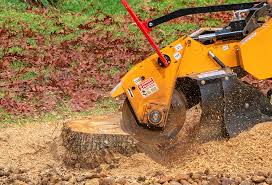 How Our Tree Care Process Works  in  Archdale, NC